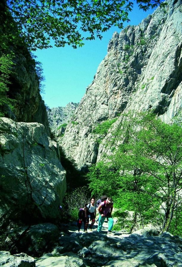 Apartmani Goga Starigrad Paklenica Bagian luar foto
