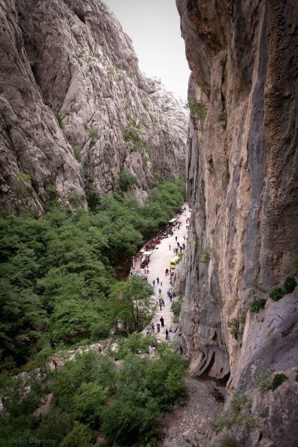 Apartmani Goga Starigrad Paklenica Bagian luar foto