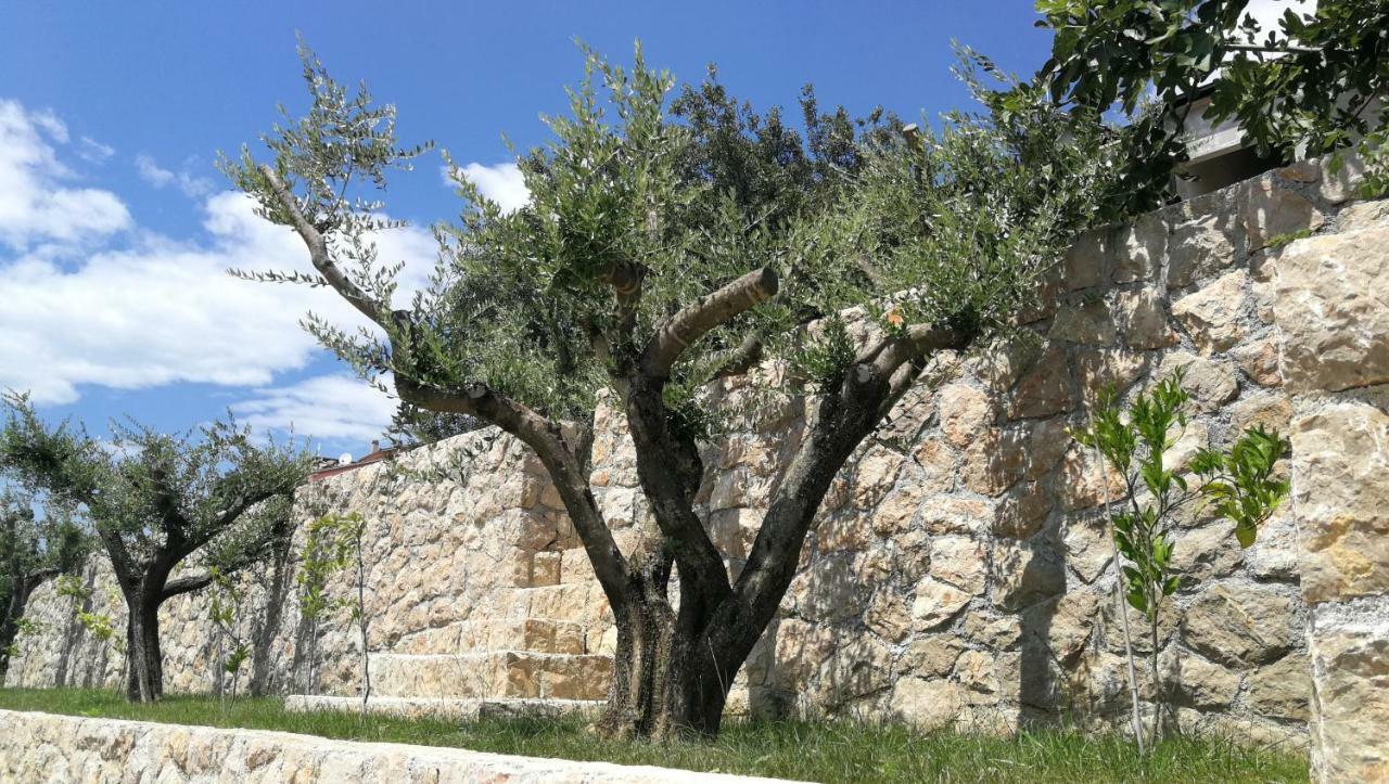 Apartmani Goga Starigrad Paklenica Bagian luar foto